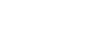 Emmerze LMS